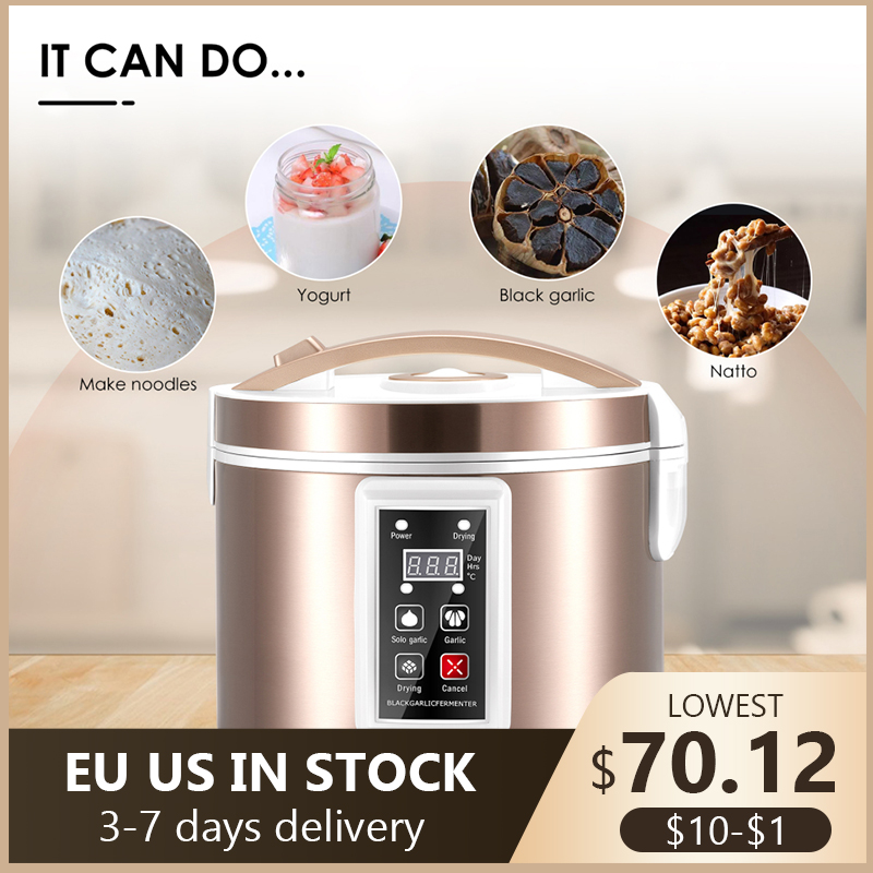 Fermentador de ajo negro de 5L - Diy Electronics Starter Kit reseña y precio