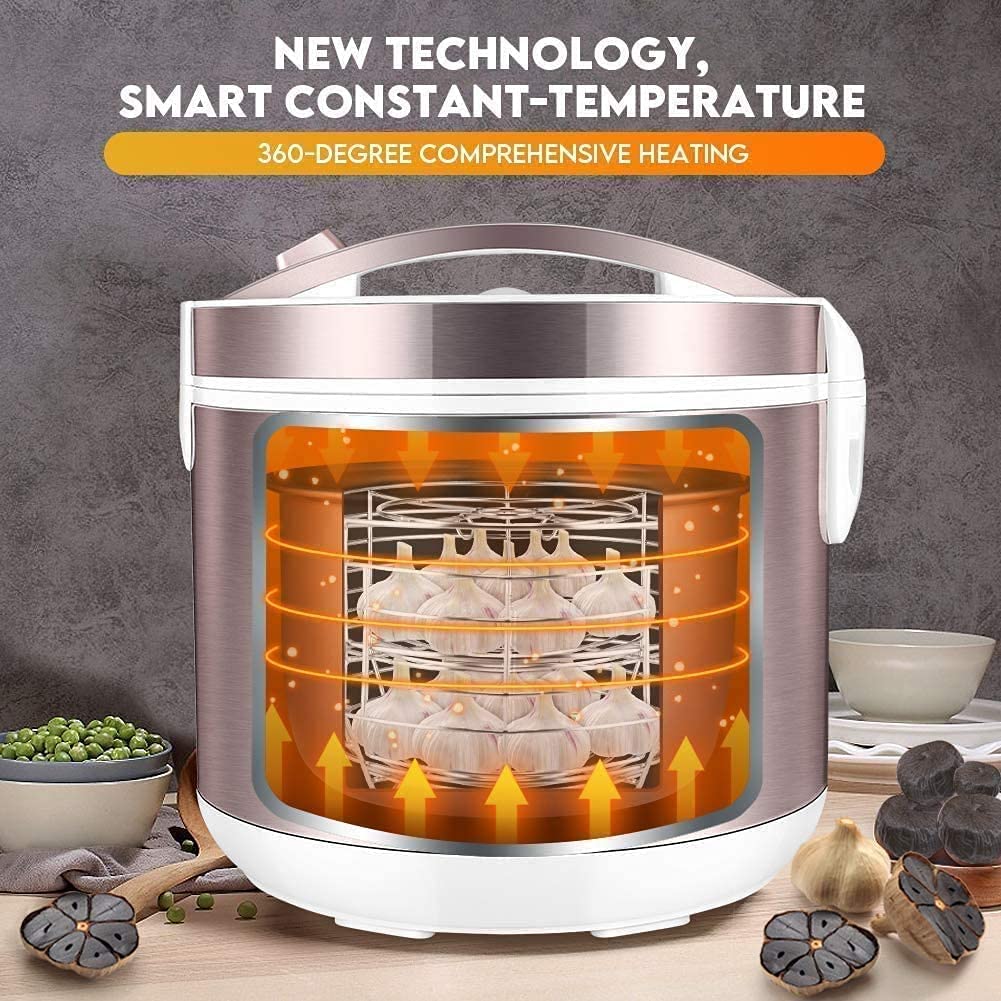 Fermentador de ajo negro de 5L - Diy Electronics Starter Kit reseña y precio
