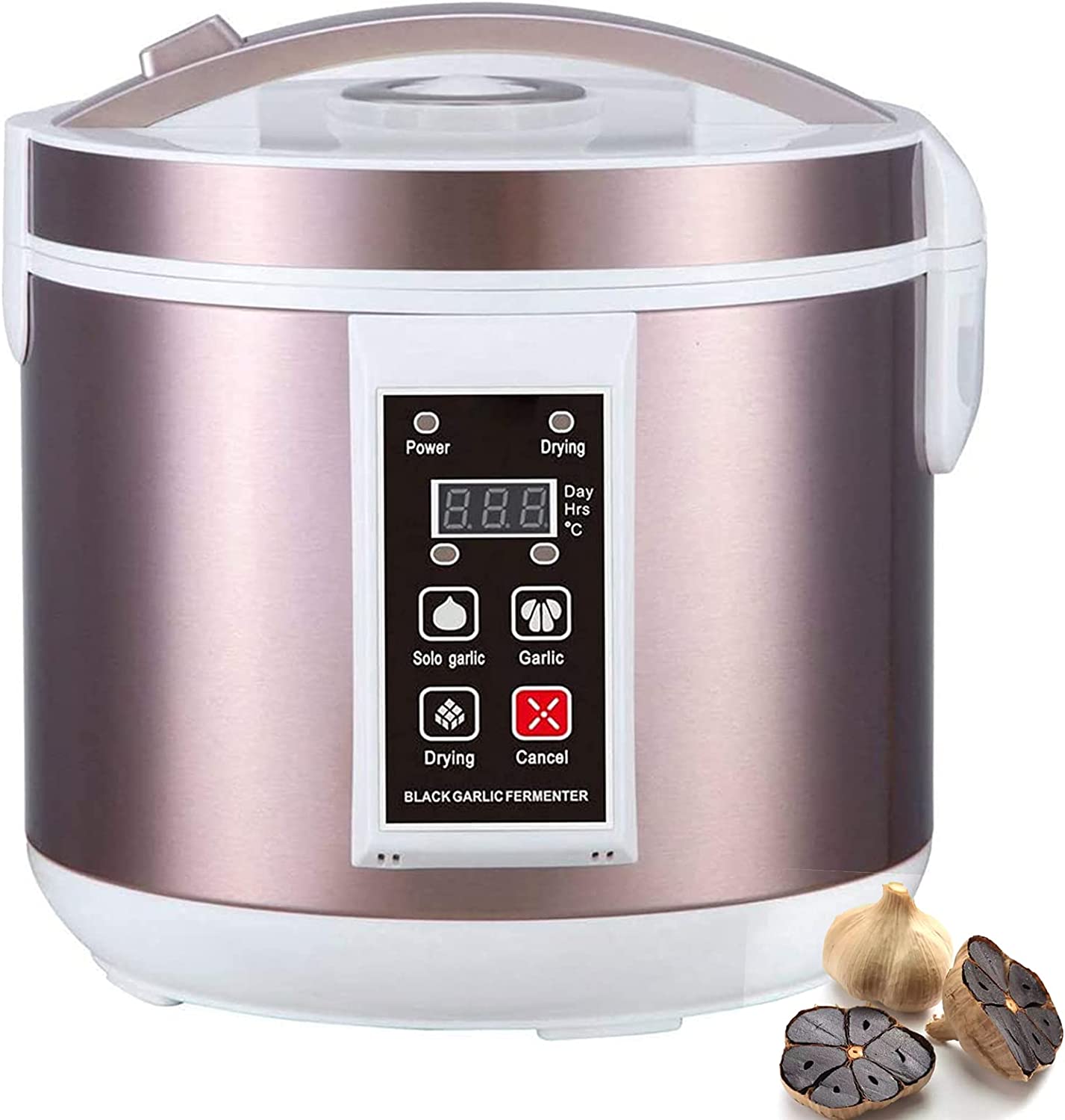 Fermentador de ajo negro de 5L - Diy Electronics Starter Kit reseña y precio